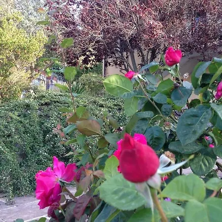 Prázdninový dům Casa In Gallura - Mare, Montagna, Escursioni *