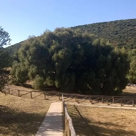 Casa In Gallura - Mare, Montagna, Escursioni Prázdninový dům
