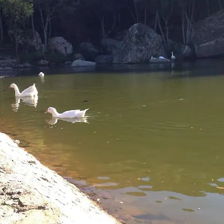 Casa In Gallura - Mare, Montagna, Escursioni *