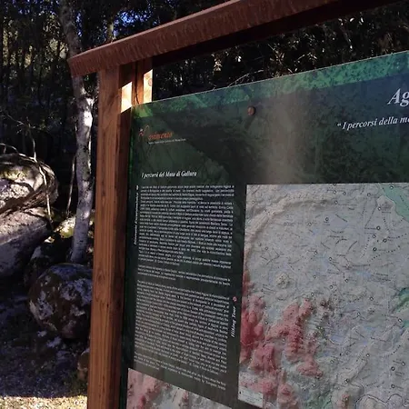 Casa vacanze Casa In Gallura - Mare, Montagna, Escursioni Calangianus