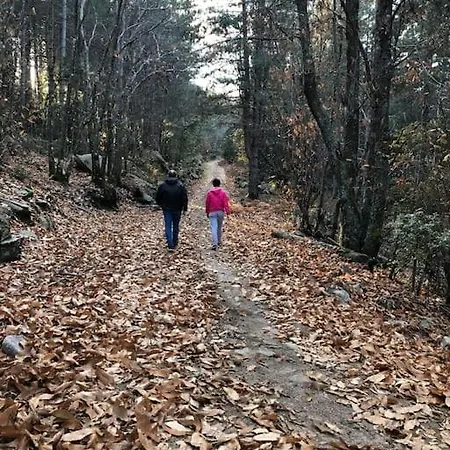 Casa vacanze Casa In Gallura - Mare, Montagna, Escursioni
