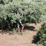 Ferienhaus Casa In Gallura - Mare, Montagna, Escursioni *