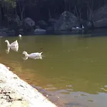 Casa In Gallura - Mare, Montagna, Escursioni *