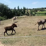 Casa In Gallura - Mare, Montagna, Escursioni Ferienhaus *