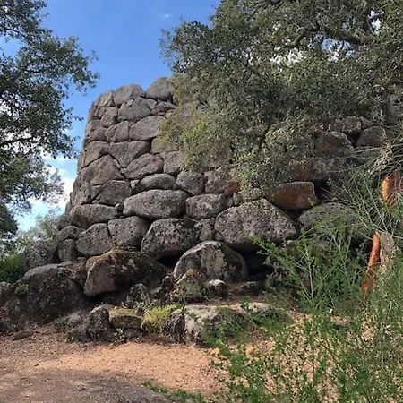 Casa In Gallura - Mare, Montagna, Escursioni 펜션 *