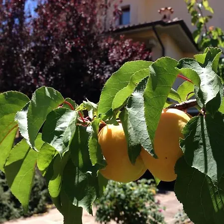 Casa In Gallura - Mare, Montagna, Escursioni Calangianus