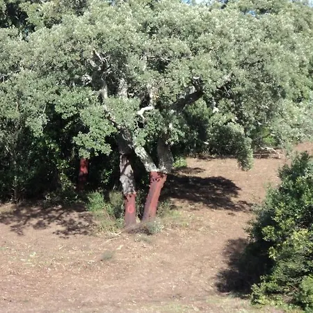 펜션 Casa In Gallura - Mare, Montagna, Escursioni *