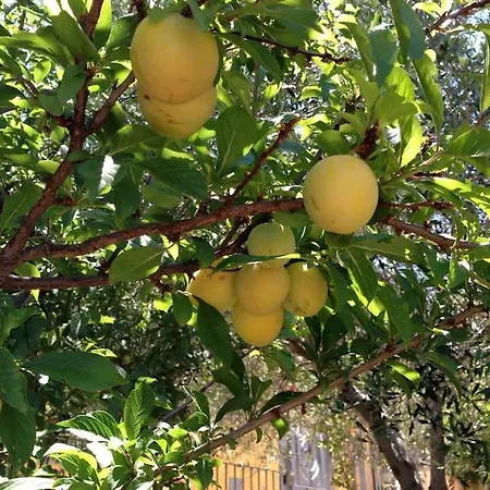Casa In Gallura - Mare, Montagna, Escursioni *